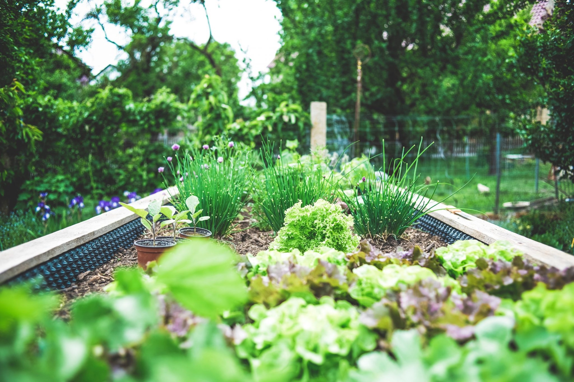 3 Easy Steps to Start Your Zero Waste Gardening
